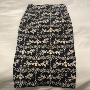 Zara skirt